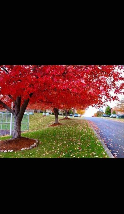 Appartamento Honoray-Kes Monroeville Esterno foto